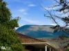 2/5 Farnham Court, Glenorchy, Tas 7010-Image
