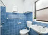 2/50 Milling Street, Hunters Hill, NSW 2110-Image