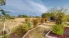2/51 Silversmith Place, Gunnedah, NSW 2380-Image
