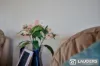 2/6 Ivy Crescent, Old Bar, NSW 2430-Image