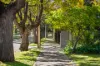 2/6 The Grove, Woodville, SA 5011-Image
