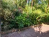 2/62 Granadilla Dr, Earlville, Qld 4870-Image