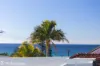 2/62 Ocean Street, Mollymook, NSW 2539-Image