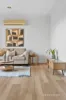 2/645 Burke Road, Camberwell, Vic 3124-Image