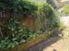 2/682 Old South Head Road, Rose Bay NSW 2029-Image