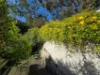 2/682 Old South Head Road, Rose Bay NSW 2029-Image