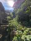 2/682 Old South Head Road, Rose Bay NSW 2029-Image