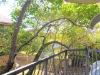 2/70 Wellington Street, Coorparoo, Qld 4151-Image