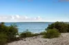 2/77 Alfred Street, Ramsgate Beach, NSW 2217-Image
