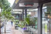 2/8 Kobada Road, Dover Heights, NSW 2030-Image