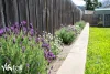 2 Rodman Court, Glenorchy, Tas 7010-Image