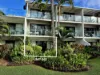202/17 Esplanade (Beachfront Terraces), Port Douglas, Qld 4877-Image