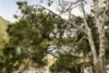 203/1348 Pittwater Road, Narrabeen, NSW 2101-Image