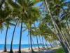 204/305-341 Coral Coast Drive, Palm Cove, Qld 4879-Image