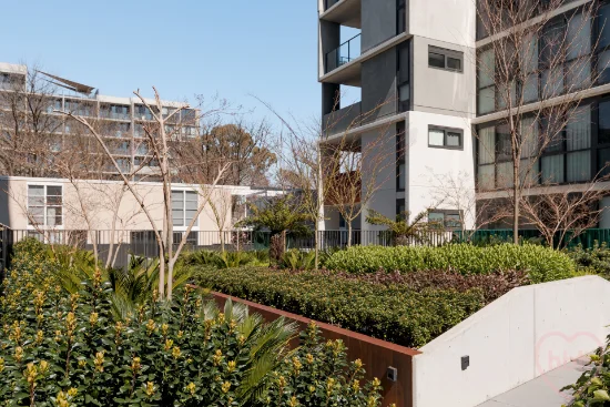 205/100 De Burgh Street, Lyneham, ACT 2602-Image