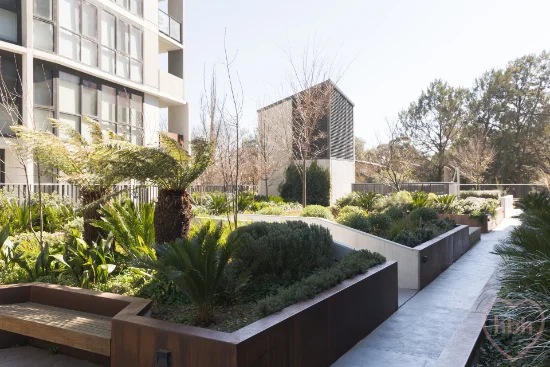 205/100 De Burgh Street, Lyneham, ACT 2602-Image