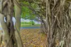 206/331-337 Lake Street, Cairns North, Qld 4870-Image
