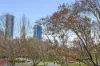 207/126 Mounts Bay Road, Perth, WA 6000-Image