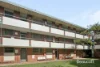207/25 Fourth Avenue, Mount Lawley, WA 6050-Image
