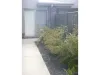 20B Hurse Street, Chinchilla, Qld 4413-Image