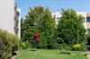 21/1 Cowlishaw Street, Greenway, ACT 2900-Image