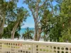 21/131-133 Williams Esplanade, Palm Cove, Qld 4879