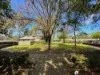 21/2 Pengilly Road, Orelia, WA 6167-Image