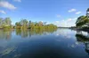 21/56-70 Guineas Creek Road, Currumbin Waters, Qld 4223-Image