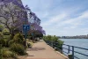 2106/191 Brunswick Street, Fortitude Valley, Qld 4006-Image