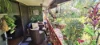 212/46 David Low Way, Diddillibah, Qld 4559-Image