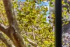 216/50 Macleay Street, Potts Point, NSW 2011-Image