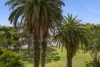 22/14-16 Robertson Street, Narrabeen, NSW 2101-Image