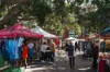 22/167-183 Brougham Street, Woolloomooloo, NSW 2011-Image