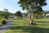 22 Summer Hill Crescent, Maudsland, Qld 4210-Image