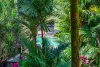 224-225/5 Triton Street, Palm Cove, Qld 4879-Image