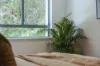 23/9 Domain Road, Currumbin, Qld 4223-Image