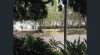 235/10 PIDGEON CLOSE, West End, Qld 4101-Image