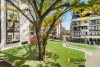 24/17 Captain Cook Crescent, Griffith, ACT 2603-Image