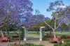 24/258 Arthur Street, Teneriffe, Qld 4005-Image