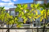 24/79-87 Beaconsfield Street, Silverwater, NSW 2128-Image