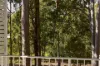24/95 Beckett Road, McDowall, Qld 4053-Image