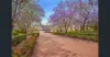 2403/3 Main St, Varsity Lakes, Qld 4227-Image