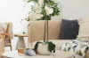 25/47-53 Hampstead Road, Homebush West, NSW 2140-Image