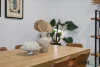 25/79 Berwick Street, Fortitude Valley, Qld 4006-Image