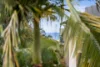 25/955 Gold Coast Highway, Palm Beach, Qld 4221-Image