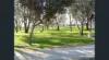 25E/47 Herdsman Parade, Wembley, WA 6014-Image