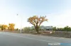 26/44 Railway Parade, Midland, WA 6056-Image