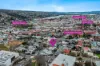 271-273 Charles Street, Launceston, Tas 7250-Image