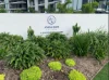2802/8 Athena Bvd, Hope Island, Qld 4212-Image
