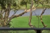 29/86 Toolga Street, Yaroomba, Qld 4573-Image